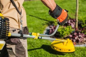 Conseils pour le choix de votre rotofil thermique