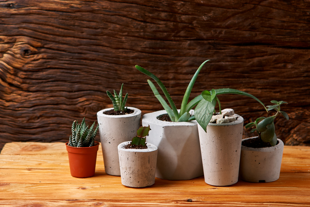 pots de fleurs