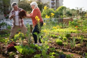Les vertus du jardinage pour la santé