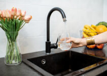 Quelles sont les solutions naturelles et efficaces pour purifier son eau du robinet ?<div class="yasr-vv-stars-title-container"><div class='yasr-stars-title yasr-rater-stars'
id='yasr-visitor-votes-readonly-rater-1ac48d4c86ee3'
data-rating='0'
data-rater-starsize='16'
data-rater-postid='1709'
data-rater-readonly='true'
data-readonly-attribute='true'
></div><span class='yasr-stars-title-average'>0 (0)</span></div> Quelles sont les solutions naturelles et efficaces pour purifier son eau du robinet ?<div class="yasr-vv-stars-title-container"><div class='yasr-stars-title yasr-rater-stars'
id='yasr-visitor-votes-readonly-rater-8d8cefc613e4a'
data-rating='0'
data-rater-starsize='16'
data-rater-postid='1709'
data-rater-readonly='true'
data-readonly-attribute='true'
></div><span class='yasr-stars-title-average'>0 (0)</span></div>