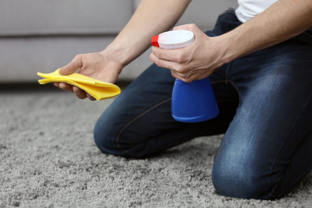Comment Nettoyer Du Vomi Sur Un Tapis