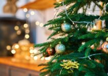 Bien choisir et décorer son sapin de Noël en 2025<div class="yasr-vv-stars-title-container"><div class='yasr-stars-title yasr-rater-stars'
id='yasr-visitor-votes-readonly-rater-f1a2740c896d4'
data-rating='0'
data-rater-starsize='16'
data-rater-postid='2685'
data-rater-readonly='true'
data-readonly-attribute='true'
></div><span class='yasr-stars-title-average'>0 (0)</span></div> Bien choisir et décorer son sapin de Noël en 2025<div class="yasr-vv-stars-title-container"><div class='yasr-stars-title yasr-rater-stars'
id='yasr-visitor-votes-readonly-rater-df478c4a60841'
data-rating='0'
data-rater-starsize='16'
data-rater-postid='2685'
data-rater-readonly='true'
data-readonly-attribute='true'
></div><span class='yasr-stars-title-average'>0 (0)</span></div>