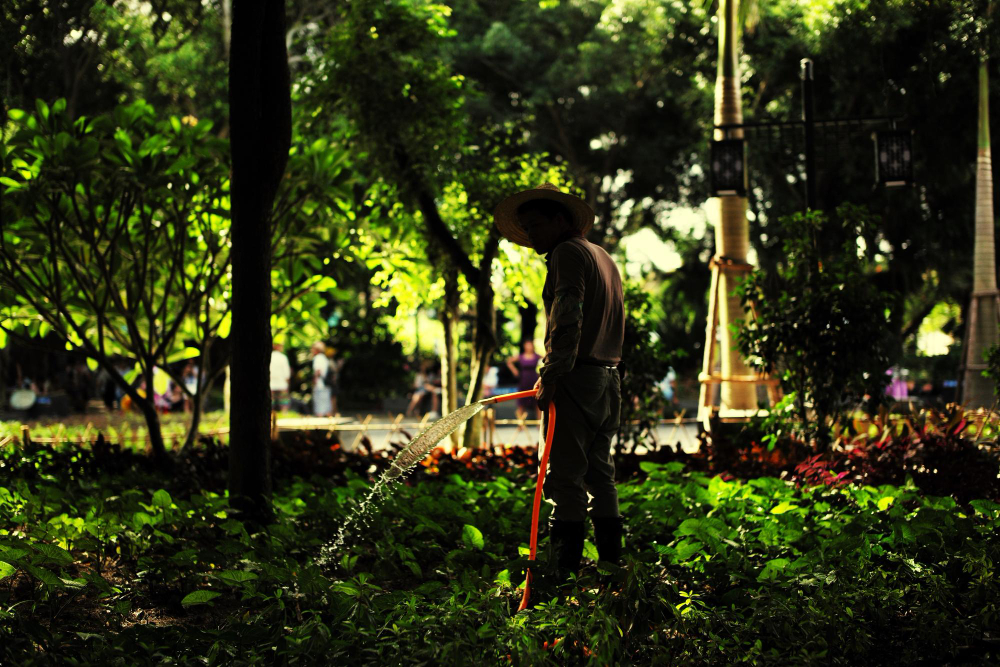 Arrosage potager jardinage et entretien d’espaces verts
