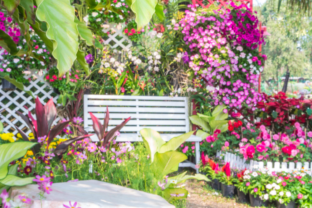 jardinage et entretien d’espaces verts