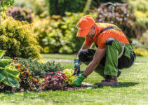 Le guide des sites dédiés au jardinage et entretien d’espaces verts<div class="yasr-vv-stars-title-container"><div class='yasr-stars-title yasr-rater-stars'
id='yasr-visitor-votes-readonly-rater-a6f44d4794f1c'
data-rating='5'
data-rater-starsize='16'
data-rater-postid='2891'
data-rater-readonly='true'
data-readonly-attribute='true'
></div><span class='yasr-stars-title-average'>5 (1)</span></div> Le guide des sites dédiés au jardinage et entretien d’espaces verts<div class="yasr-vv-stars-title-container"><div class='yasr-stars-title yasr-rater-stars'
id='yasr-visitor-votes-readonly-rater-a4147eadf6441'
data-rating='5'
data-rater-starsize='16'
data-rater-postid='2891'
data-rater-readonly='true'
data-readonly-attribute='true'
></div><span class='yasr-stars-title-average'>5 (1)</span></div>