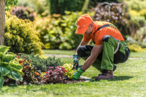 Le guide des sites dédiés au jardinage et entretien d&rsquo;espaces verts