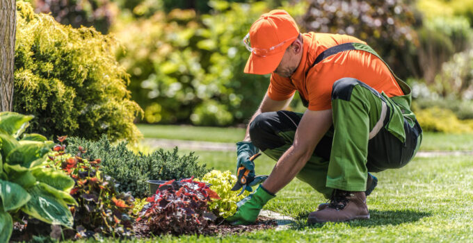 taille jardinage et entretien d’espaces verts