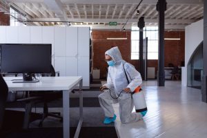 Solutions efficaces pour lutter contre les nuisibles en entreprise
