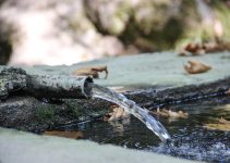 Vers un jardin autonome : utilisez une citerne souple pour arroser sans gaspiller<div class="yasr-vv-stars-title-container"><div class='yasr-stars-title yasr-rater-stars'
id='yasr-visitor-votes-readonly-rater-c028a6a66f32c'
data-rating='0'
data-rater-starsize='16'
data-rater-postid='2994'
data-rater-readonly='true'
data-readonly-attribute='true'
></div><span class='yasr-stars-title-average'>0 (0)</span></div> Vers un jardin autonome : utilisez une citerne souple pour arroser sans gaspiller<div class="yasr-vv-stars-title-container"><div class='yasr-stars-title yasr-rater-stars'
id='yasr-visitor-votes-readonly-rater-caa2630f8466f'
data-rating='0'
data-rater-starsize='16'
data-rater-postid='2994'
data-rater-readonly='true'
data-readonly-attribute='true'
></div><span class='yasr-stars-title-average'>0 (0)</span></div>