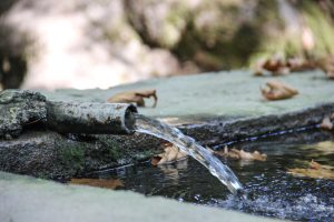 Vers un jardin autonome : utilisez une citerne souple pour arroser sans gaspiller