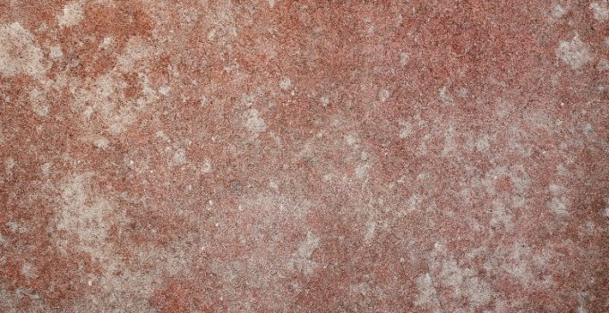 algues rouges sur mur