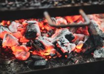 Comment allumer très facilement un barbecue avec du charbon ?<div class="yasr-vv-stars-title-container"><div class='yasr-stars-title yasr-rater-stars'
id='yasr-visitor-votes-readonly-rater-4ab1a70819869'
data-rating='0'
data-rater-starsize='16'
data-rater-postid='3004'
data-rater-readonly='true'
data-readonly-attribute='true'
></div><span class='yasr-stars-title-average'>0 (0)</span></div> Comment allumer très facilement un barbecue avec du charbon ?<div class="yasr-vv-stars-title-container"><div class='yasr-stars-title yasr-rater-stars'
id='yasr-visitor-votes-readonly-rater-d109168a7b8aa'
data-rating='0'
data-rater-starsize='16'
data-rater-postid='3004'
data-rater-readonly='true'
data-readonly-attribute='true'
></div><span class='yasr-stars-title-average'>0 (0)</span></div>