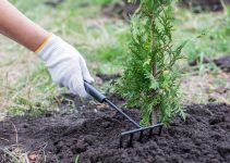 Comment aménager son jardin pour se protéger des regards indiscrets<div class="yasr-vv-stars-title-container"><div class='yasr-stars-title yasr-rater-stars'
id='yasr-visitor-votes-readonly-rater-64743d942d86a'
data-rating='0'
data-rater-starsize='16'
data-rater-postid='3409'
data-rater-readonly='true'
data-readonly-attribute='true'
></div><span class='yasr-stars-title-average'>0 (0)</span></div> Comment aménager son jardin pour se protéger des regards indiscrets<div class="yasr-vv-stars-title-container"><div class='yasr-stars-title yasr-rater-stars'
id='yasr-visitor-votes-readonly-rater-d8264543a64d7'
data-rating='0'
data-rater-starsize='16'
data-rater-postid='3409'
data-rater-readonly='true'
data-readonly-attribute='true'
></div><span class='yasr-stars-title-average'>0 (0)</span></div>
