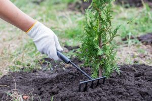Comment aménager son jardin pour se protéger des regards indiscrets