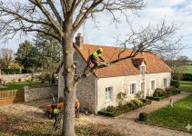 Élaguer un arbre près d’une maison : les règles à connaître<div class="yasr-vv-stars-title-container"><div class='yasr-stars-title yasr-rater-stars'
id='yasr-visitor-votes-readonly-rater-6e237a2a5742e'
data-rating='0'
data-rater-starsize='16'
data-rater-postid='3959'
data-rater-readonly='true'
data-readonly-attribute='true'
></div><span class='yasr-stars-title-average'>0 (0)</span></div> Élaguer un arbre près d’une maison : les règles à connaître<div class="yasr-vv-stars-title-container"><div class='yasr-stars-title yasr-rater-stars'
id='yasr-visitor-votes-readonly-rater-75e3a2aa63725'
data-rating='0'
data-rater-starsize='16'
data-rater-postid='3959'
data-rater-readonly='true'
data-readonly-attribute='true'
></div><span class='yasr-stars-title-average'>0 (0)</span></div>