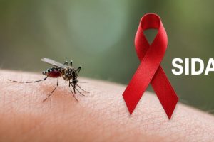 Est-ce que le moustique peut transmettre le sida