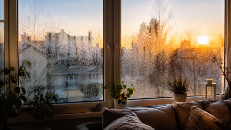 Condensation matinale sur les fenêtres