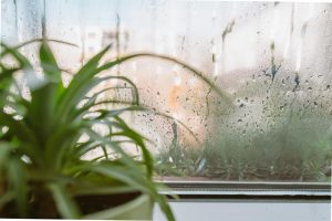 Condensation matinale sur les fenêtres