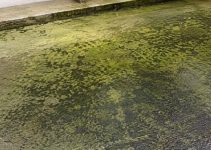 Comment enlever les dépôts verts d&rsquo;une terrasse en béton<div class="yasr-vv-stars-title-container"><div class='yasr-stars-title yasr-rater-stars'
                          id='yasr-visitor-votes-readonly-rater-6c03705a383e5'
                          data-rating='0'
                          data-rater-starsize='16'
                          data-rater-postid='4277'
                          data-rater-readonly='true'
                          data-readonly-attribute='true'
                      ></div><span class='yasr-stars-title-average'>0 (0)</span></div>
