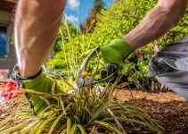 Comment faire entretenir son jardin gratuitement ?<div class="yasr-vv-stars-title-container"><div class='yasr-stars-title yasr-rater-stars'
                          id='yasr-visitor-votes-readonly-rater-5cba435667316'
                          data-rating='0'
                          data-rater-starsize='16'
                          data-rater-postid='4380'
                          data-rater-readonly='true'
                          data-readonly-attribute='true'
                      ></div><span class='yasr-stars-title-average'>0 (0)</span></div>