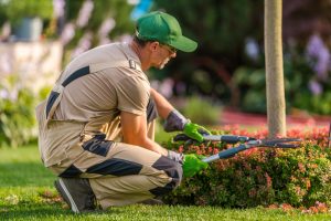 Quel est le coût d&rsquo;entretien d&rsquo;un jardin de 1 000 m²