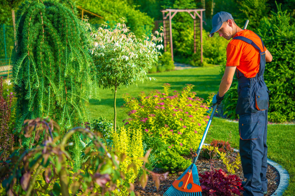 entretien d'un jardin